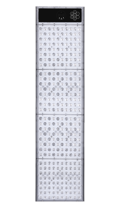 MFX Sauna (Envío en 2 semanas)