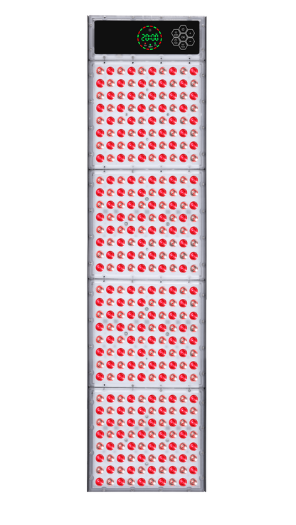 MFX Sauna (Envío en 2 semanas)