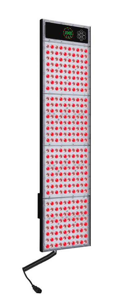 MFX Sauna (Envío en 2 semanas)